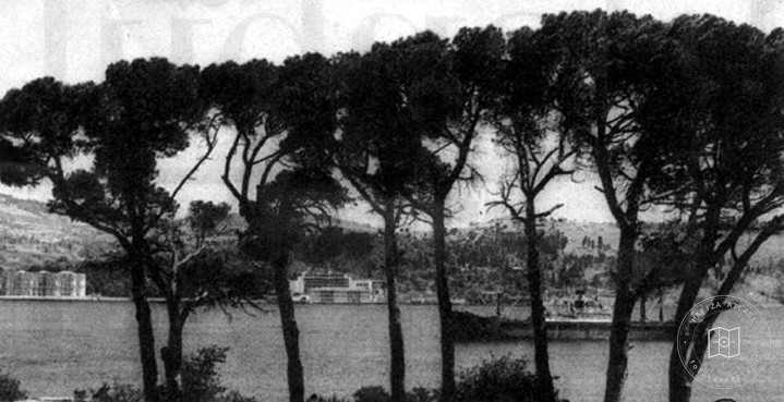 Bogaz View