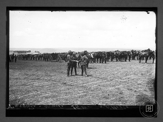 Ottoman Life: 1890–1910 — View from the archive