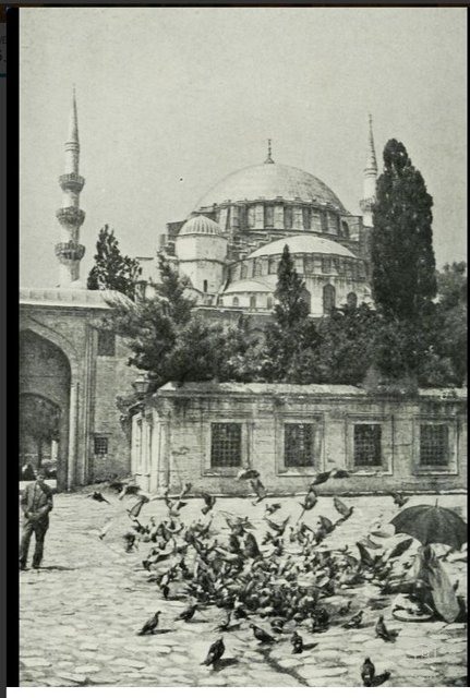 Süleymaniye — View from the archive
