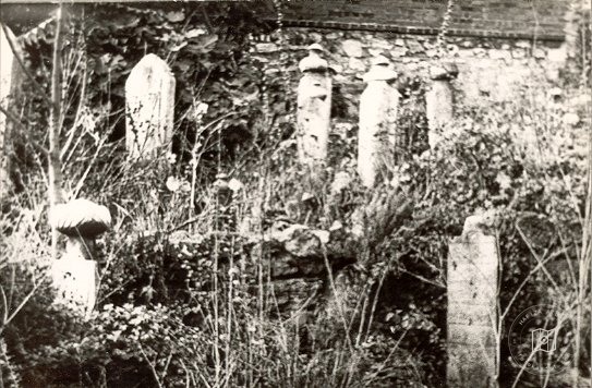 İstanbul Tekkeleri — Arşivden bir görünüm