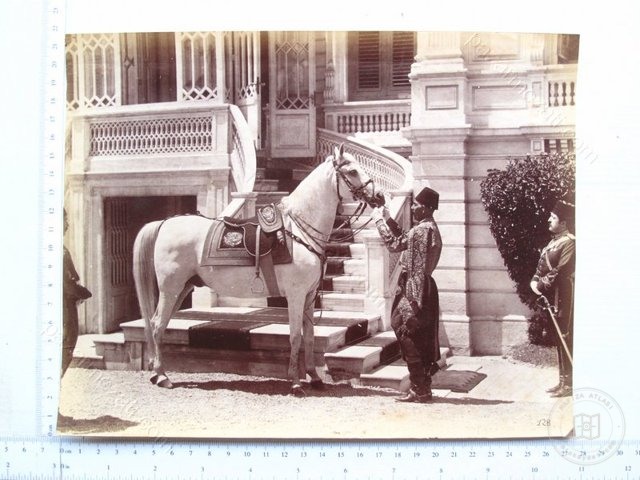 Dolmabahçe and Çırağan — View from the archive