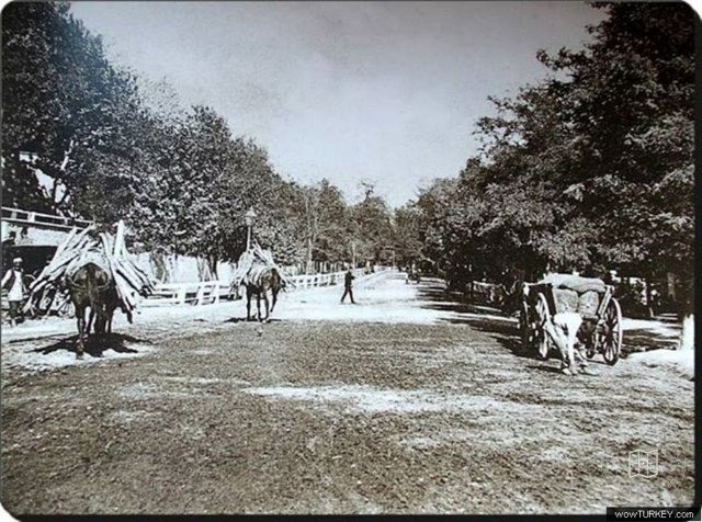 Dolmabahçe and Çırağan — View from the archive