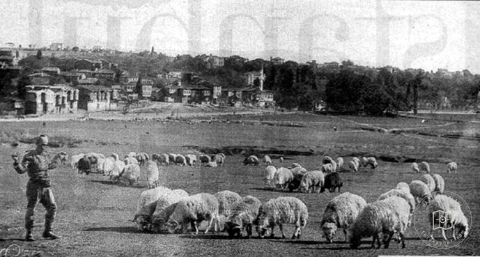 Kadıköy- Hasanpasa