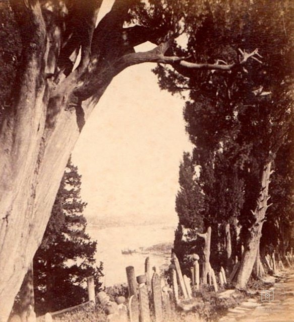 eyüp sultan — View from the archive
