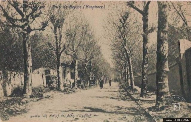 Beykoz