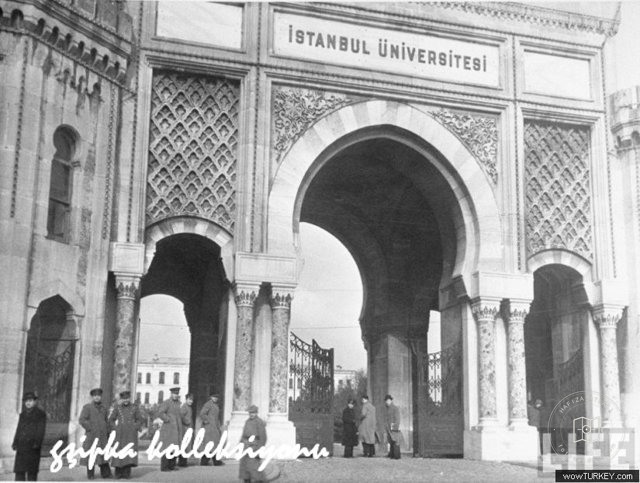 Stanbul Universitesi