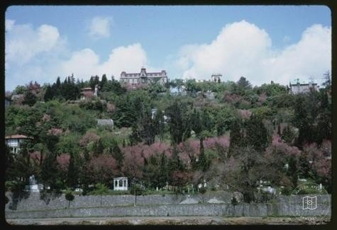 Beşiktaş — Archive image