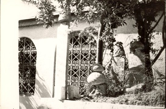 İstanbul Tekkeleri — Arşivden bir görünüm