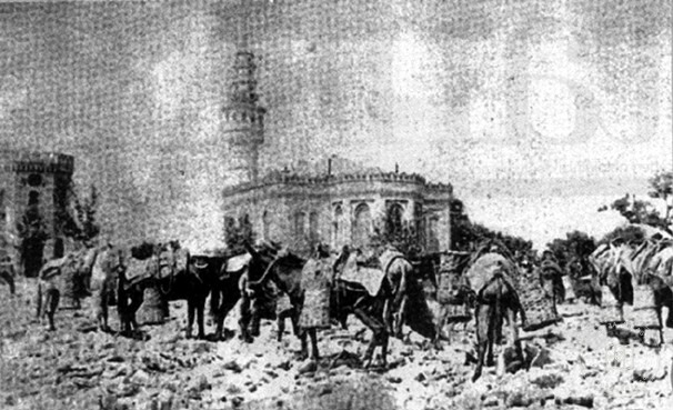 Beyazıt — Arşiv kaydı