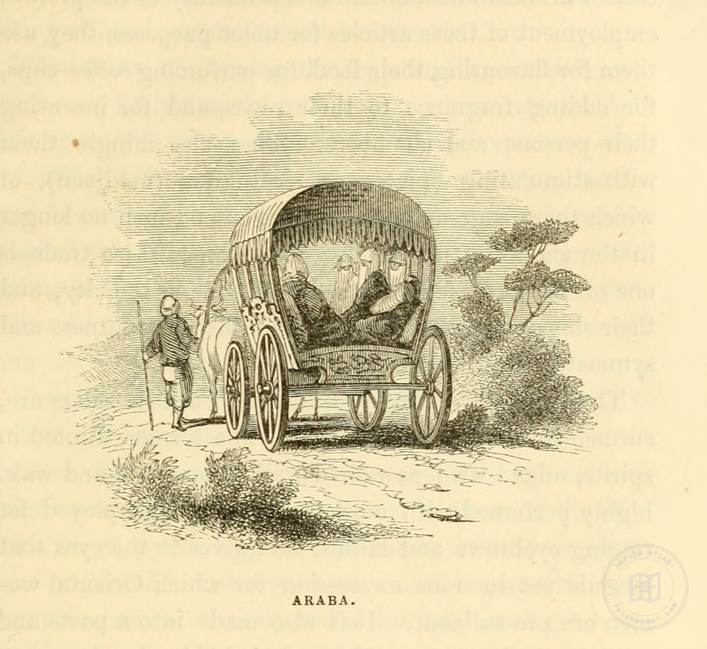 Engravings — Engraving
