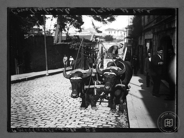 Ottoman Life: 1890–1910 — View from the archive