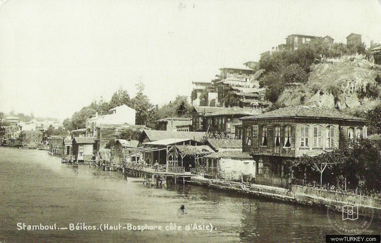 Wooden Houses