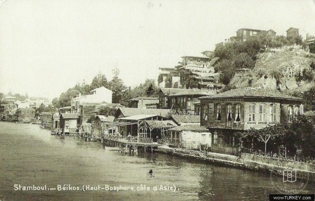 Wooden Houses