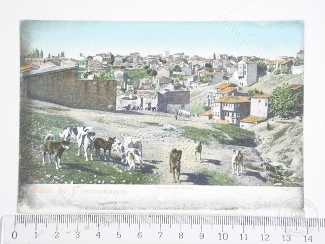 Beyoğlu — View from the archive