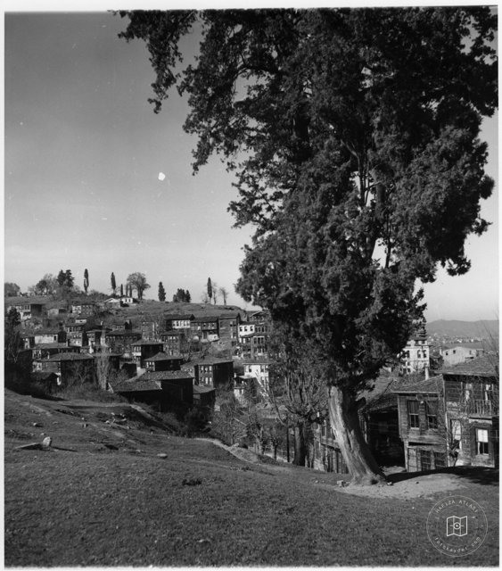 Historic Cities and Architecture — Archive image