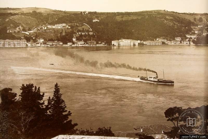 Year Old Bosphorus