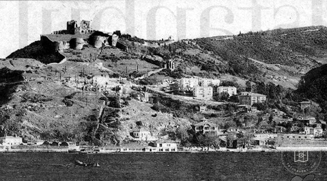 Kavaklar