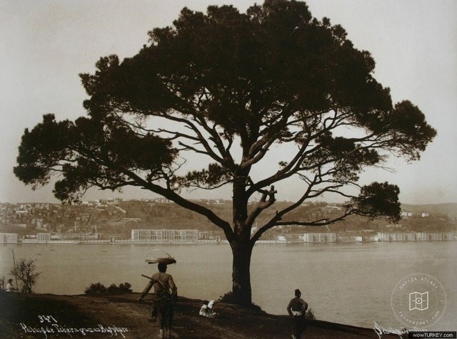 Çırağan Palace from Fethi Pasha Protection
