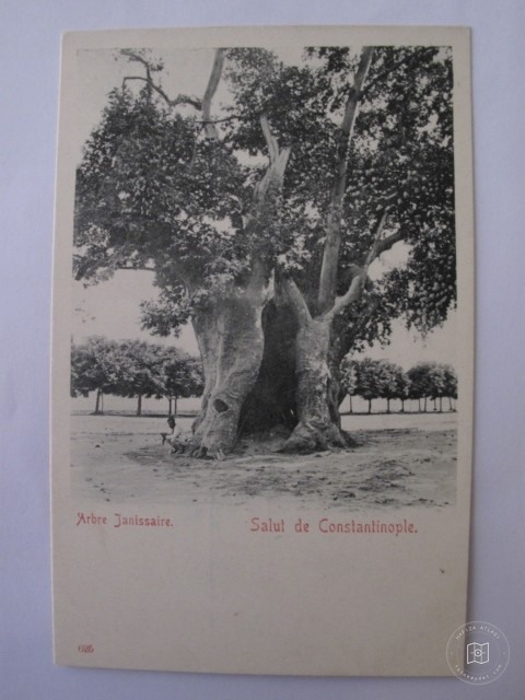 Sultanahmet — Archive image