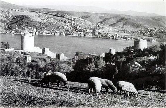 Rumelihisarı and the Bosphorus, with Sheep in the Foreground
