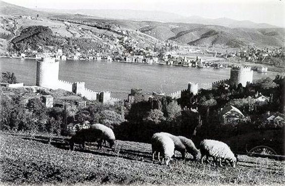 Rumelihisarı ve Boğaziçi, Ön Planda Koyunlar