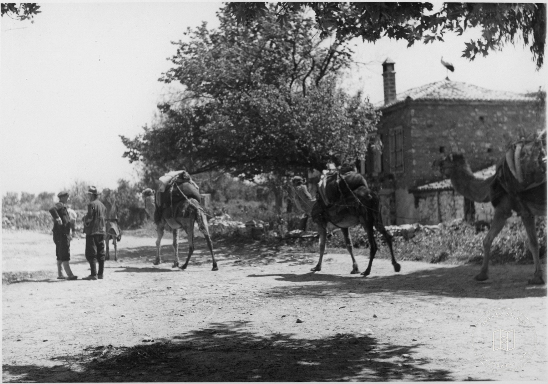 Tarihî Kent ve Yapı Görünümleri — Arşiv kaydı