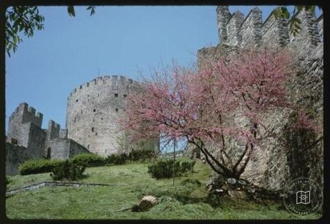 Rumeli and Anatolia Hisarler — Archive image