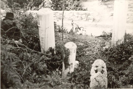İstanbul Tekkeleri — Arşivden bir görünüm