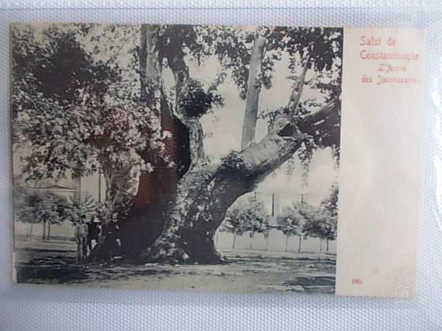 Sultanahmet — Archive image