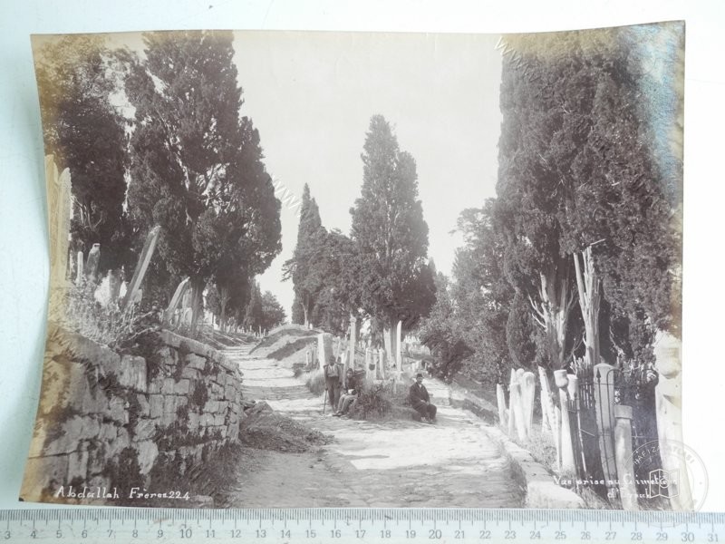 Tree-Lined Path in Eyüp Cemetery