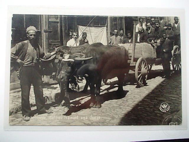 Daily Life and Various Visuals — Archive image
