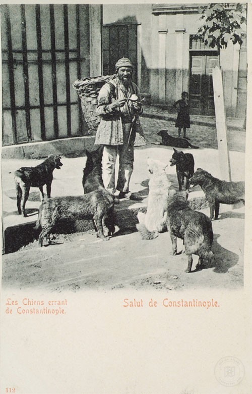 ESNAF-hamal