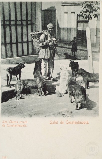 ESNAF-hamal