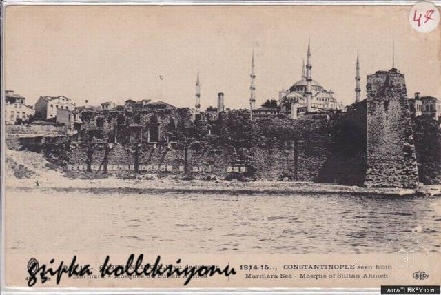 Sultan Ahmet Mosque Co., Ltd