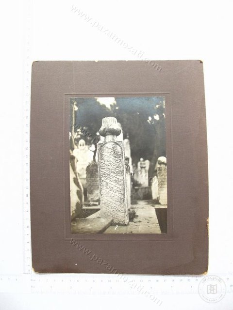 Daily Life and Various Visuals — View from the archive