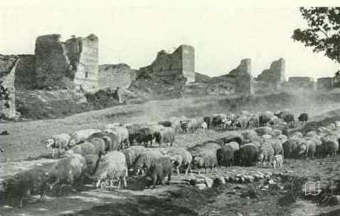 City Walls — Archive record