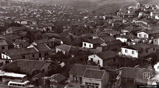 Daily Life and Various Visuals — View from the archive