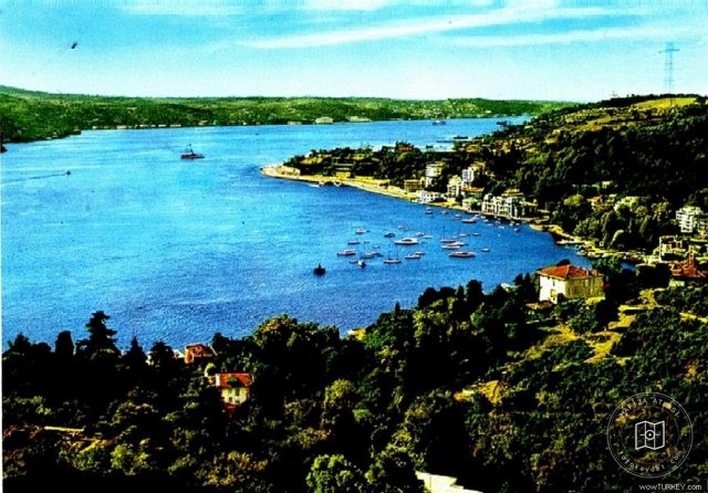 Bebek