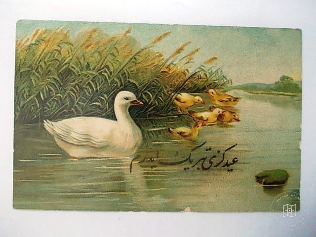 Gündelik Yaşam ve Çeşitli Görseller — Arşiv Görseli