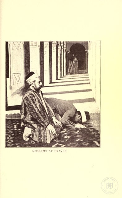 Portreler ve Yaşam — Portre ve kişi arşivi