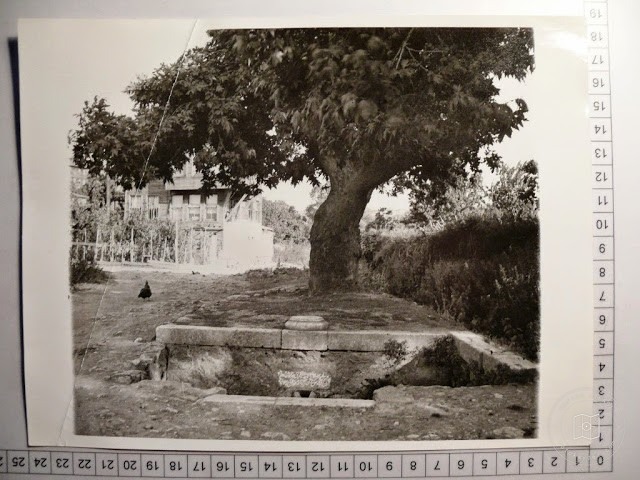 Boğaziçi — Arşivden bir görünüm