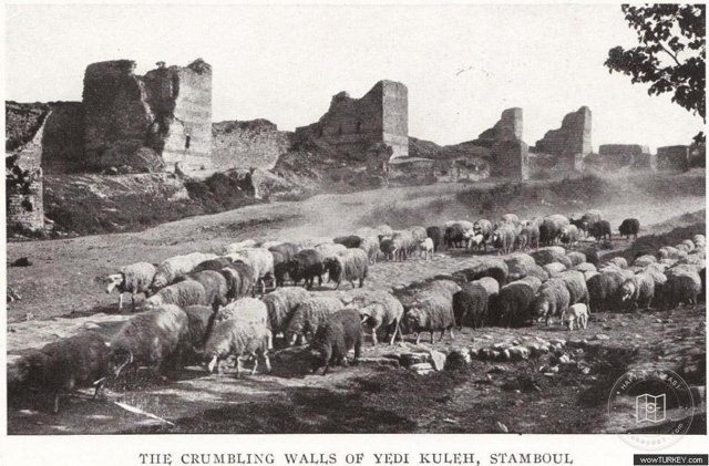 Surlar — Arşiv kaydı