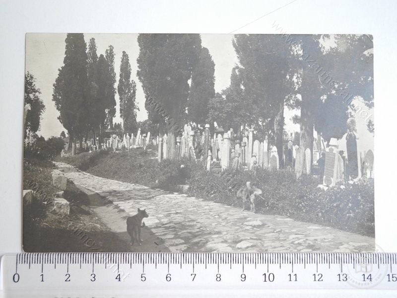 eyüp sultan — View from the archive