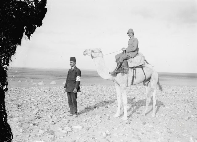 Türk [i.e., Turkish] Officers & Camel İn Sinai Campaign