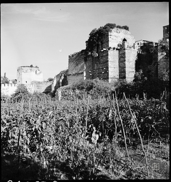 Historic Cities and Architecture — Archive record