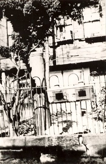 İstanbul Tekkeleri — Arşivden bir görünüm
