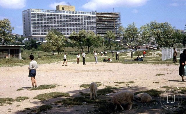 Hilton, 1961