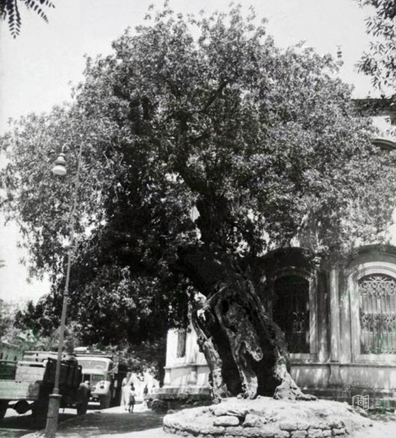 Nakşidil Sultan Külliyesi · Fatih