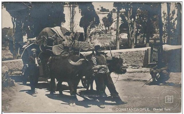 manda arabası