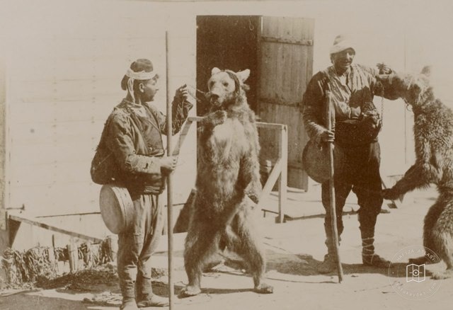 Ayı oynatma Sébah & Joaillier Fotoğrafı